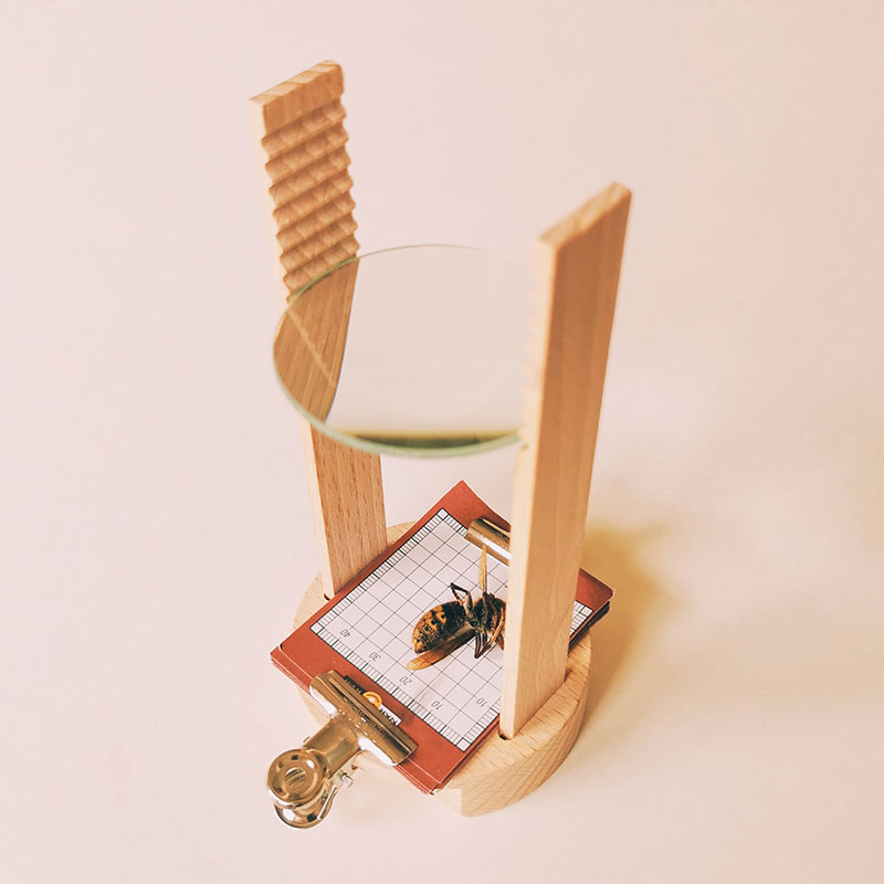 Microscope loupe manuel pour enfant en bois