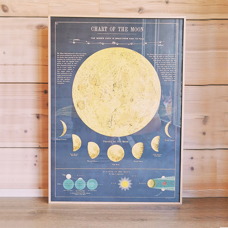 Affiche pédagogique vintage - les phases de la lune