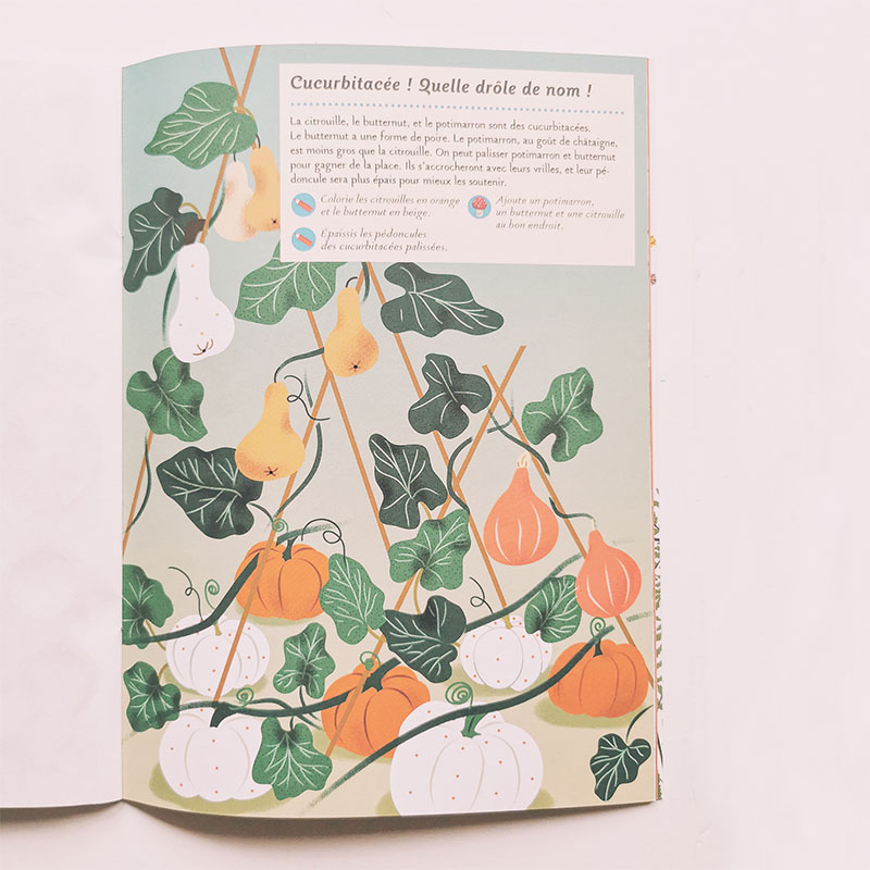 découvrir la nature avec un cahier dactivités automne amaterra