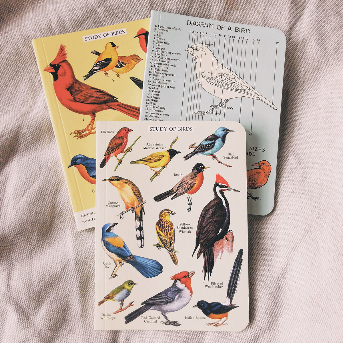 Lot de 3 petits carnets vintage - Oiseaux