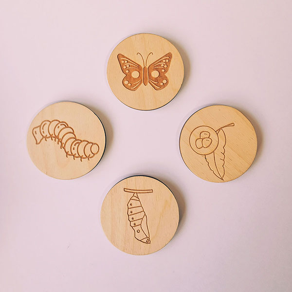 Cycle de vie du papillon en bois