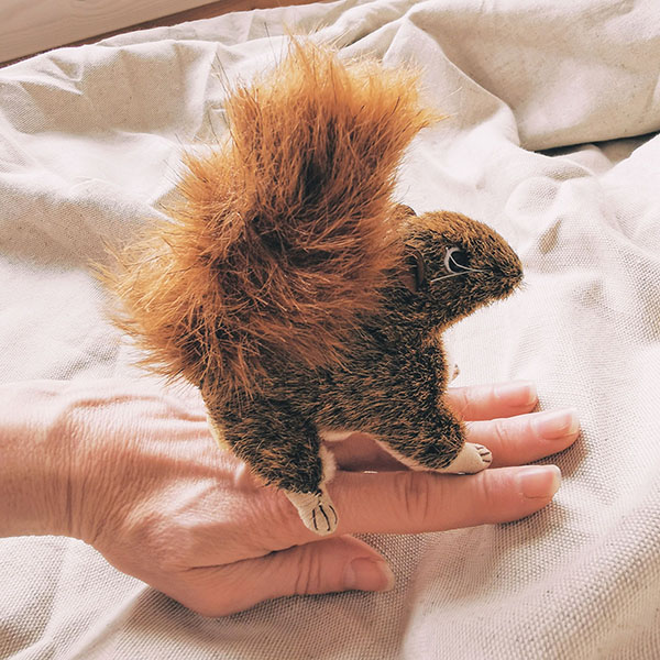 mini-peluche-écureuil-marionnette-à-doigts-réaliste-folkmanis-puppets