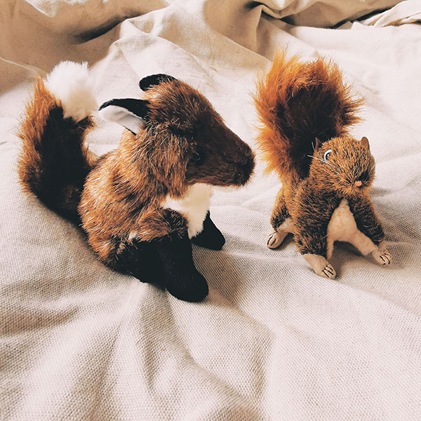 marionnettes-à-doigt-renard-et-écureuil-animaux-de-la-forêt-folkmanis-puppets
