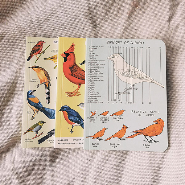 illustrations-oiseaux-vintage-carnets-de-note-cavallini