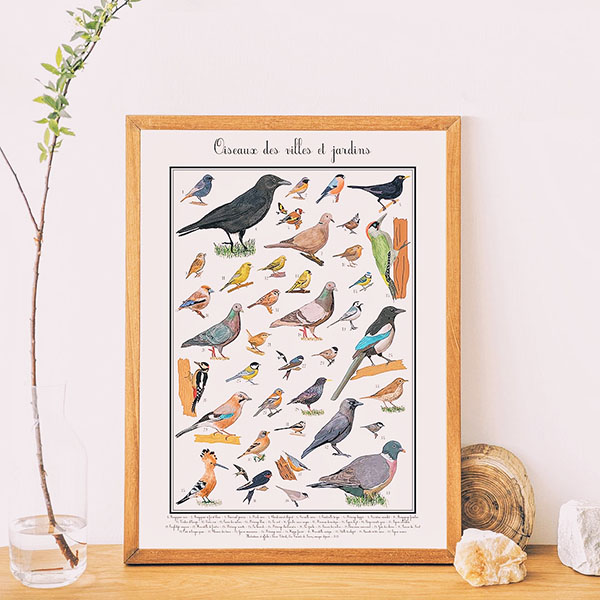 Poster illustré oiseaux de nos jardins
