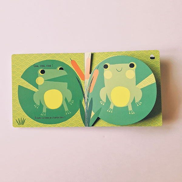livre-carton-eveil-bebe-grenouille-amaterra