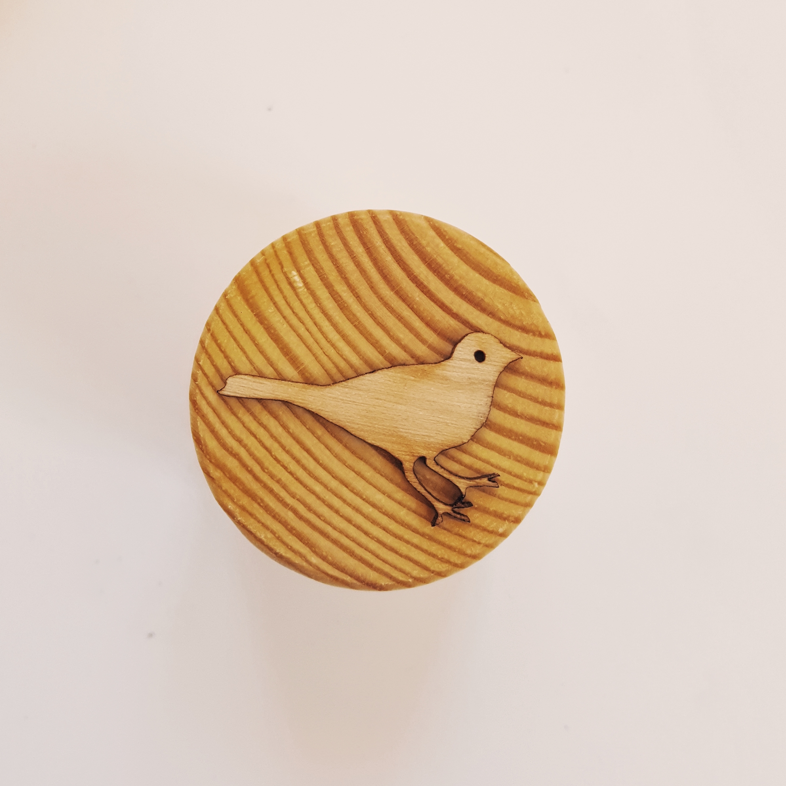 tampon pâte à modeler oiseau