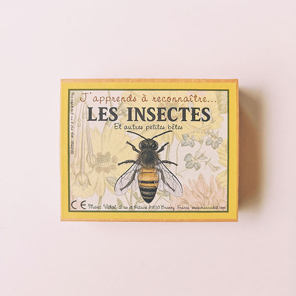 Cartes éducatives - J\'apprends à reconnaître les insectes