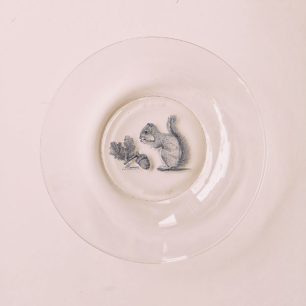 Assiette creuse transparente - Ecureuil et feuille de chêne