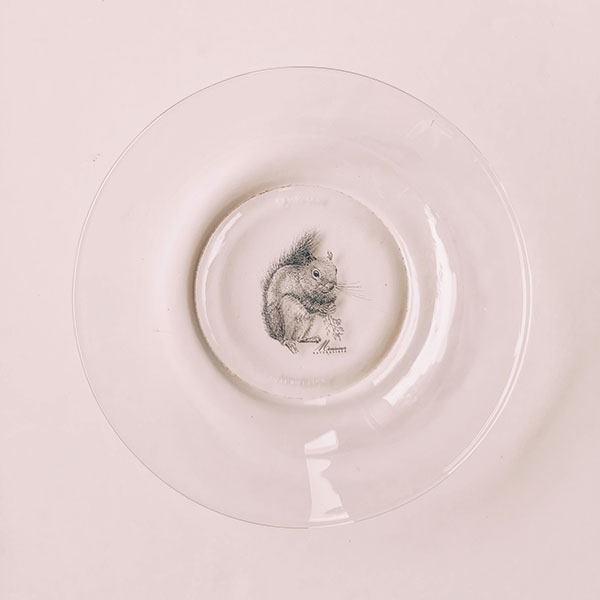 Assiette creuse transparente - Ecureuil qui mange