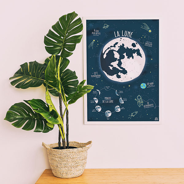 Poster illustré - Les phases de la lune