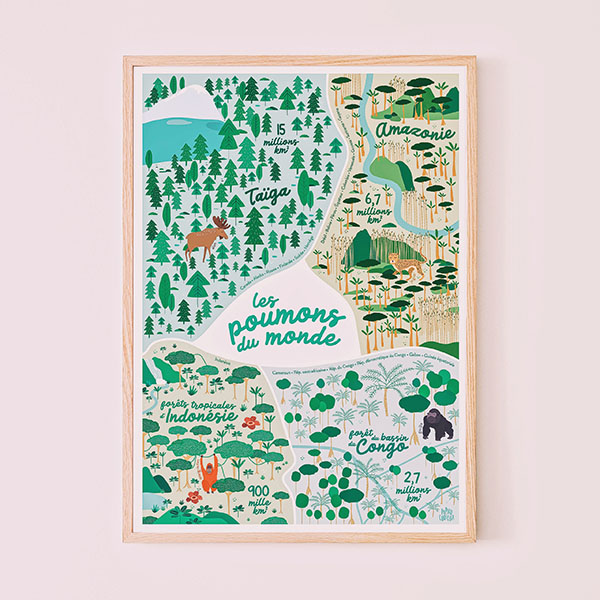 Poster A3 - Forêts du monde