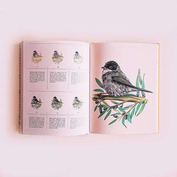 livre-tuto-debutants-pour-dessiner-les-oiseaux-creapassions