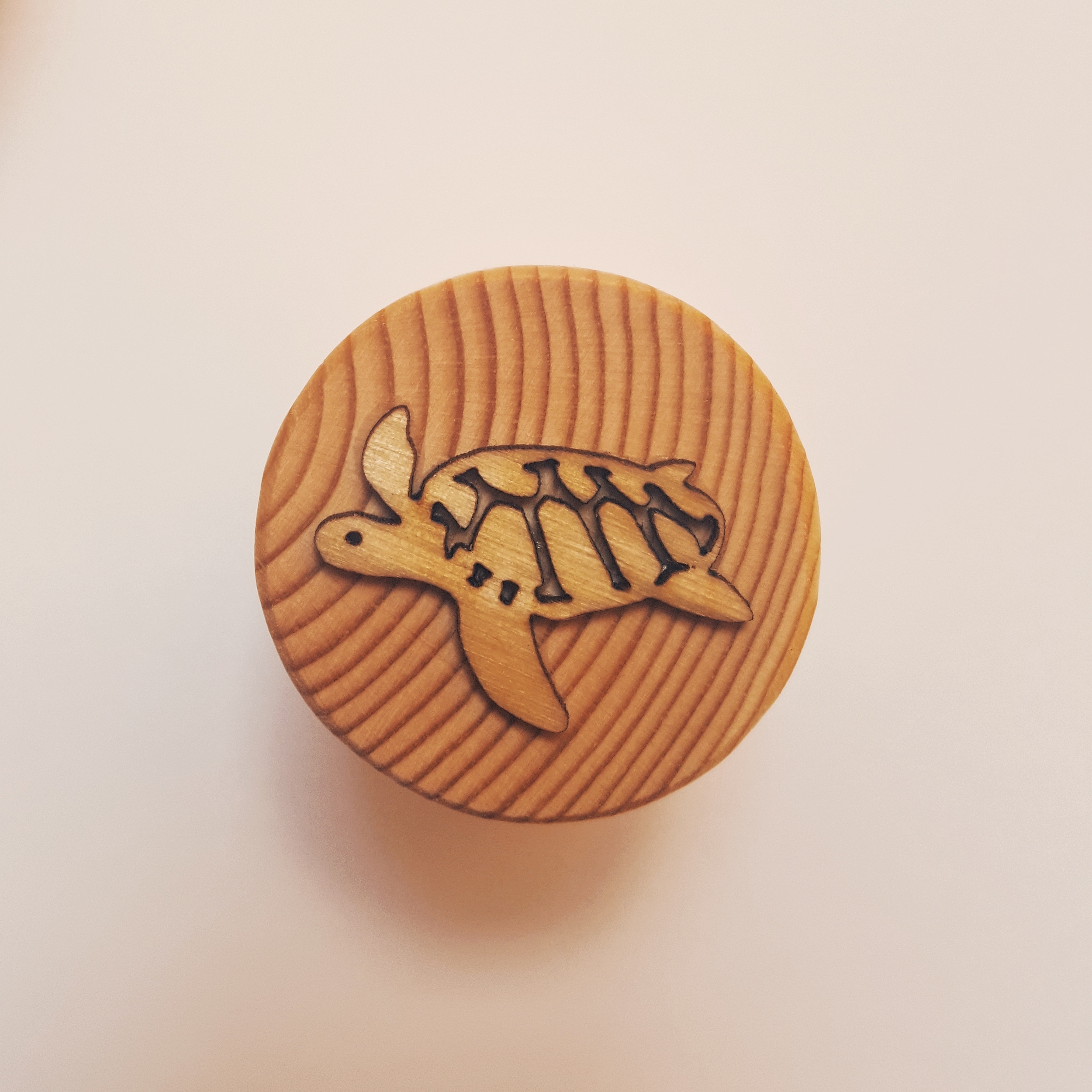 jeu éducatif cycle de vie tortue