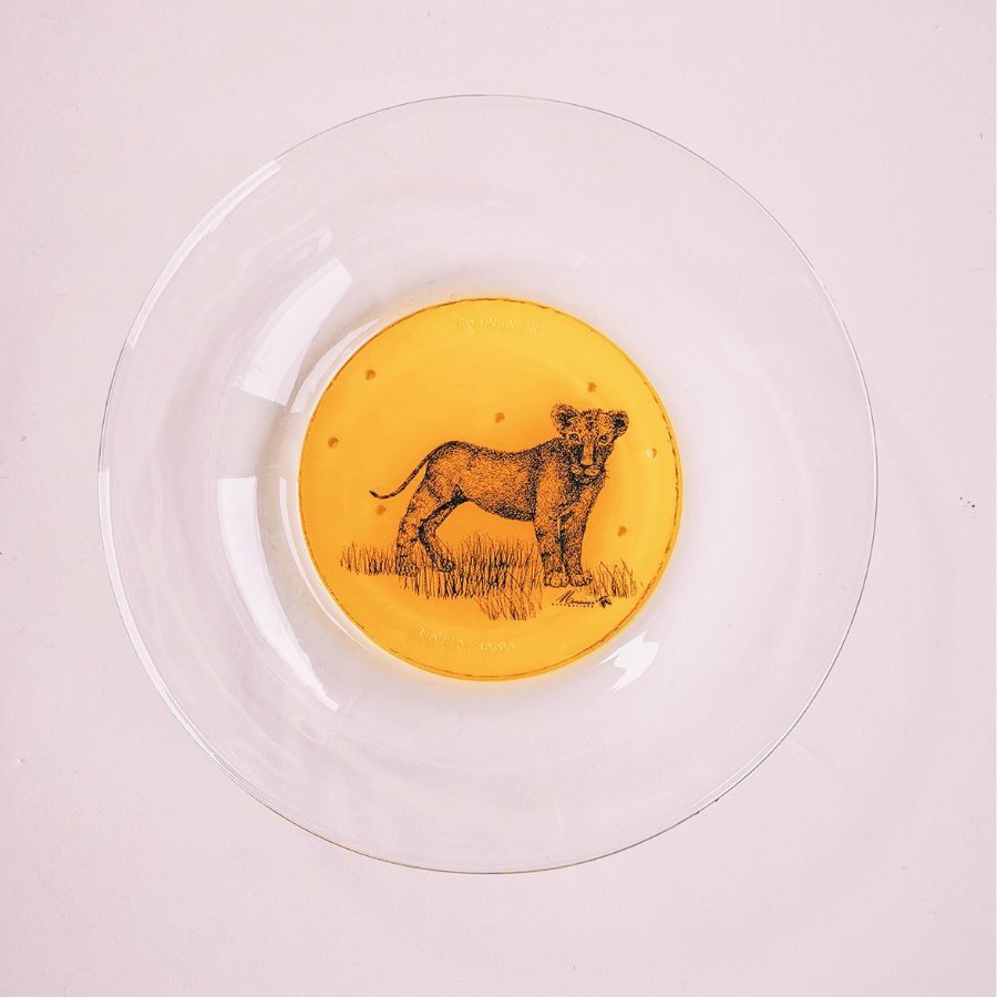 Assiette creuse transparente - Enfant lion jaune