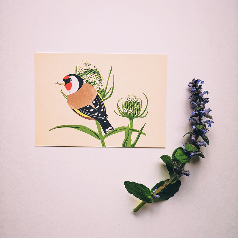 Carte postale illustrée oiseau - Chardonneret