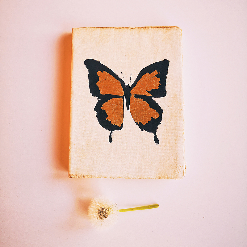 Carnet en papier parchemin - Papillon