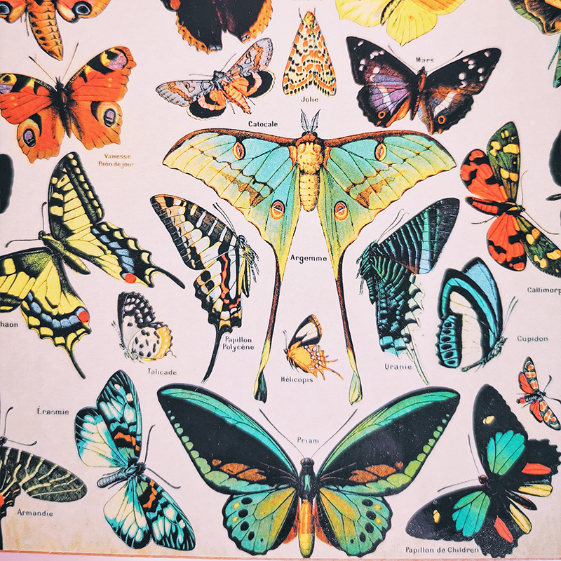 puzzle-bois-enfant-papillons-vintage-michel-wilson