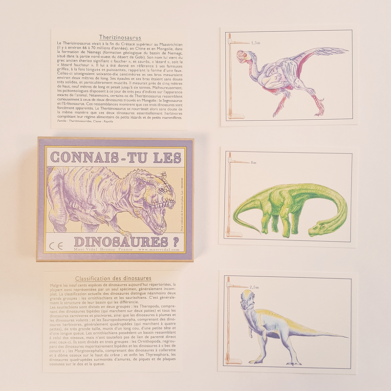 Cartes éducatives - Connais-tu les dinosaures ?