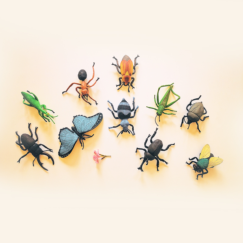 Figurines insectes