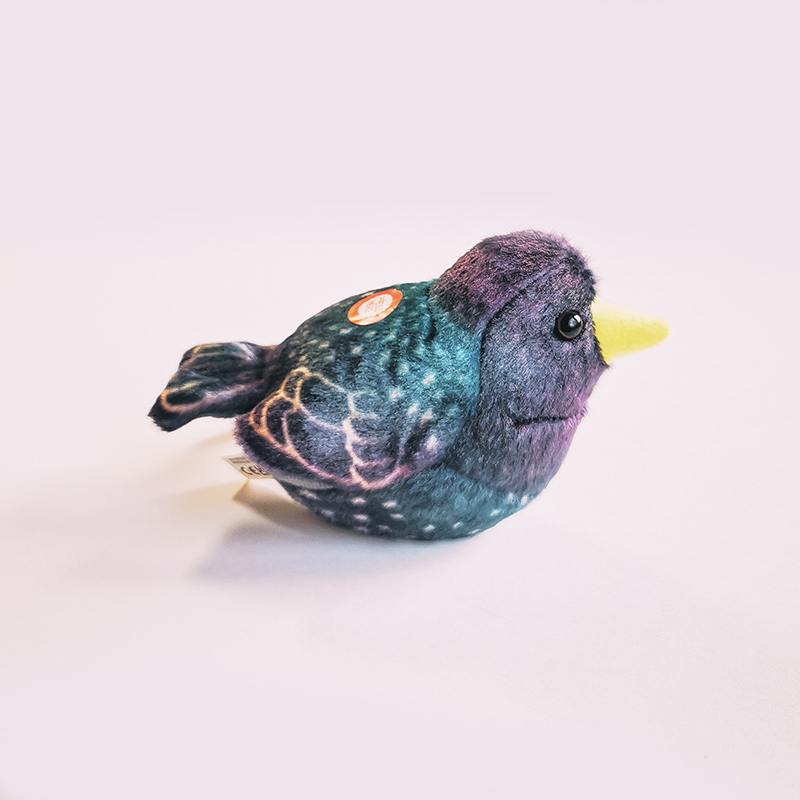Peluche sonore - Etourneau