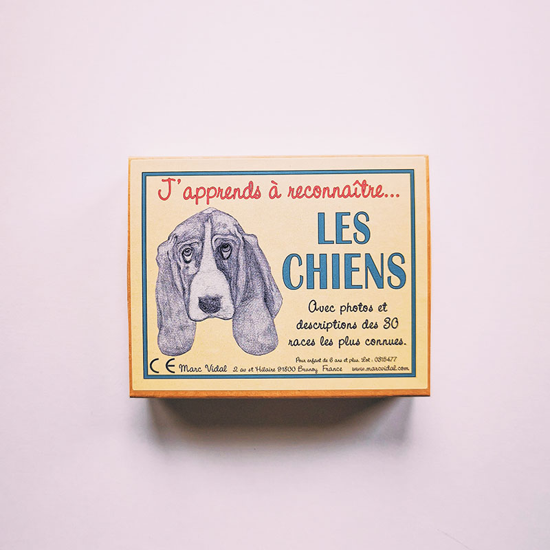 Cartes éducatives - J&#39;apprends à reconnaître les chiens