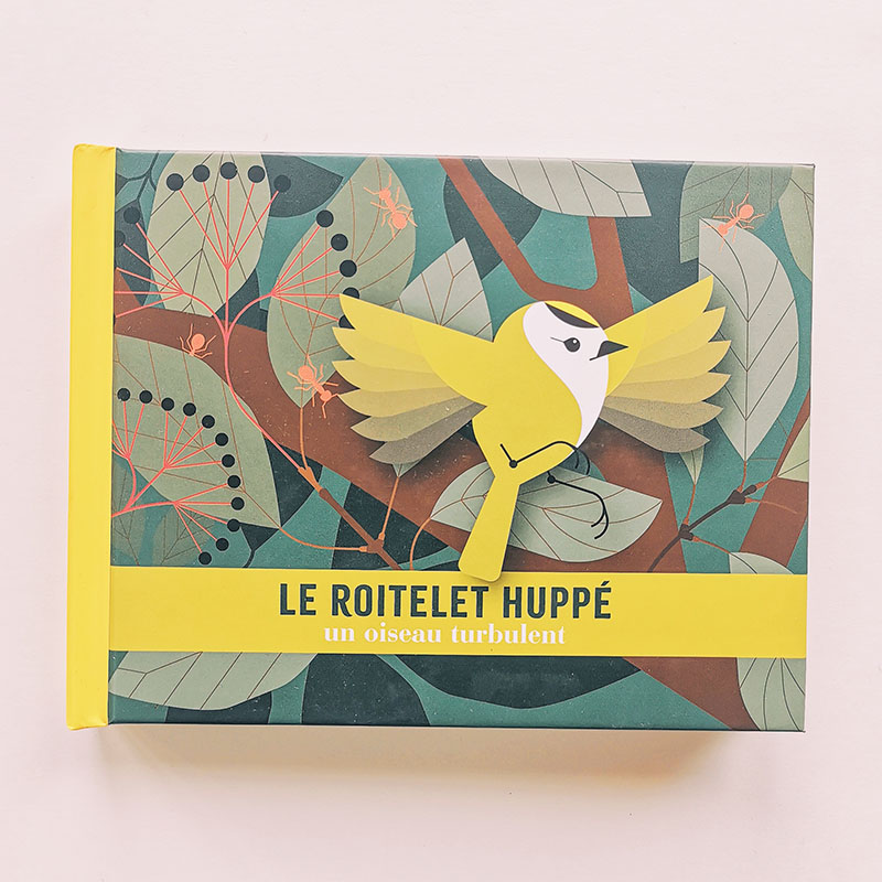 Livre animé - Le roitelet huppé