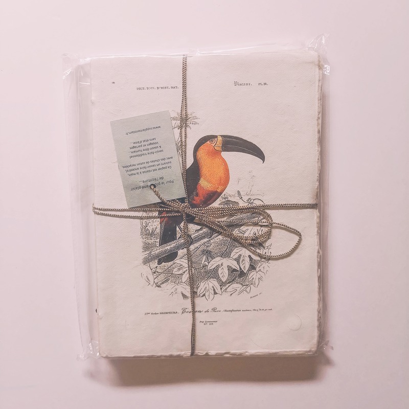 Cahier en papier parchemin - Oiseaux