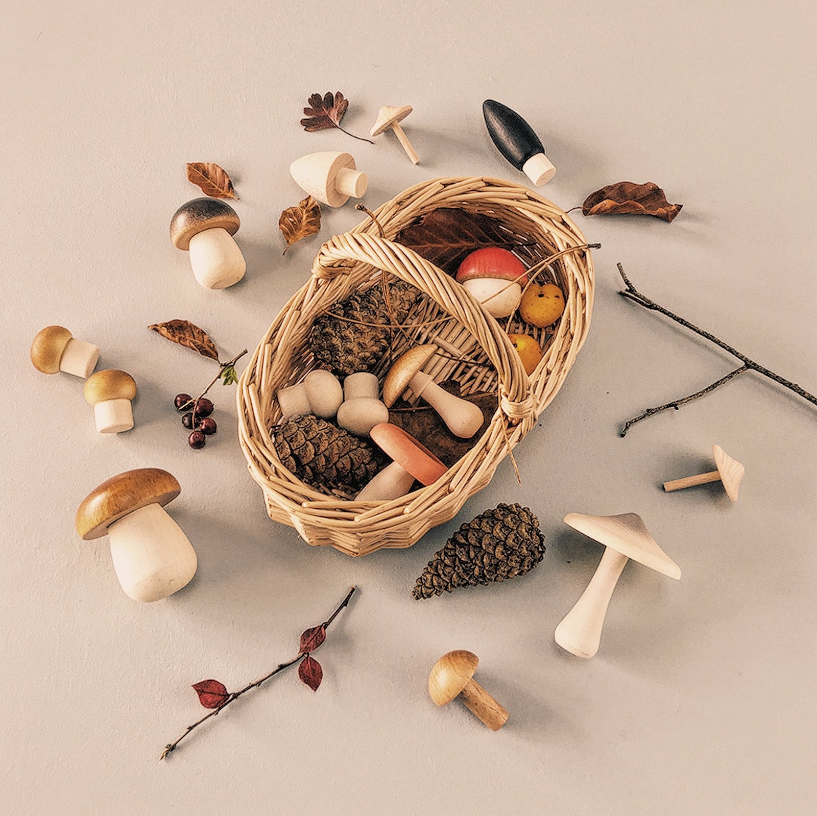champignons-en-bois-decor-automne-moon-picnic