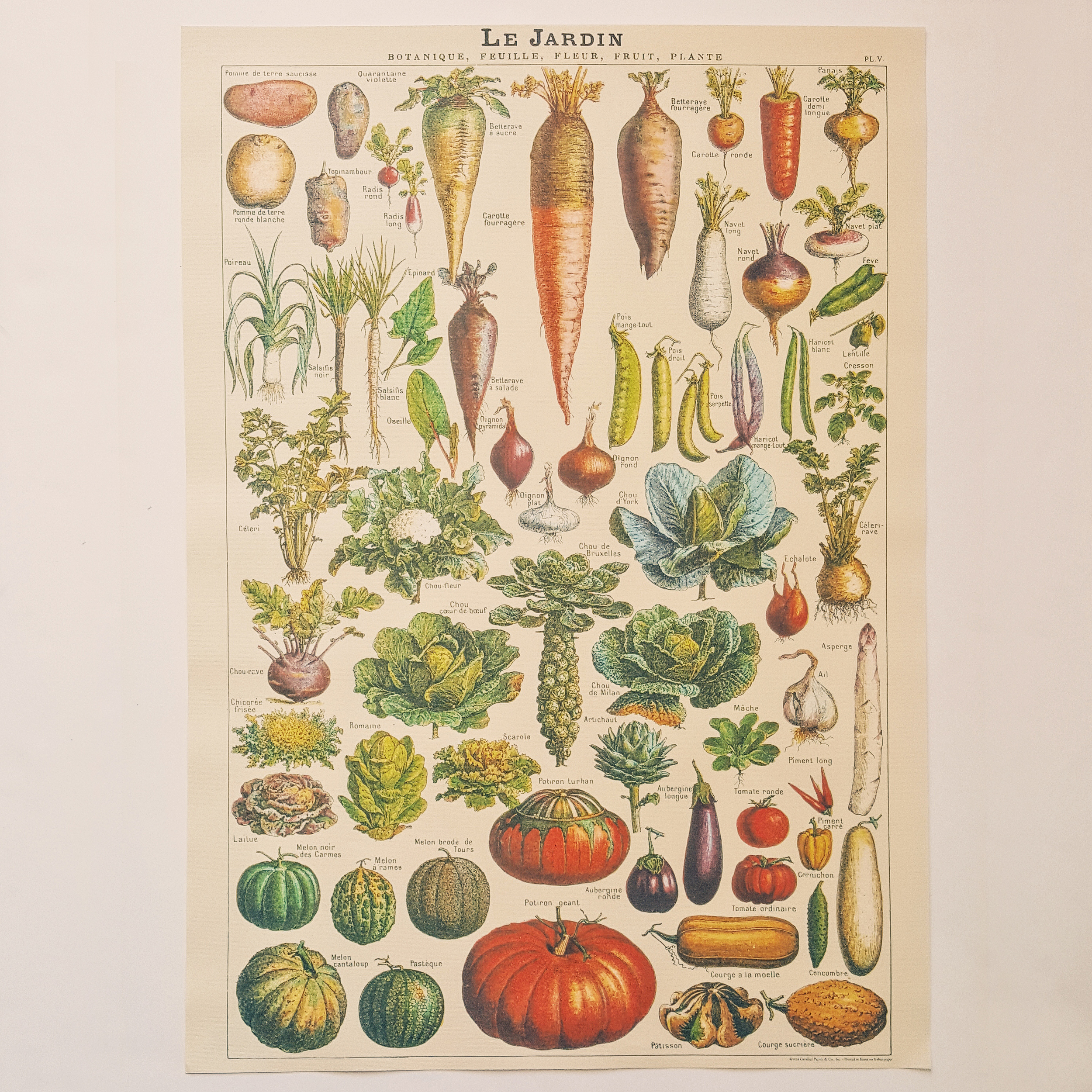 affiche vintage légumes