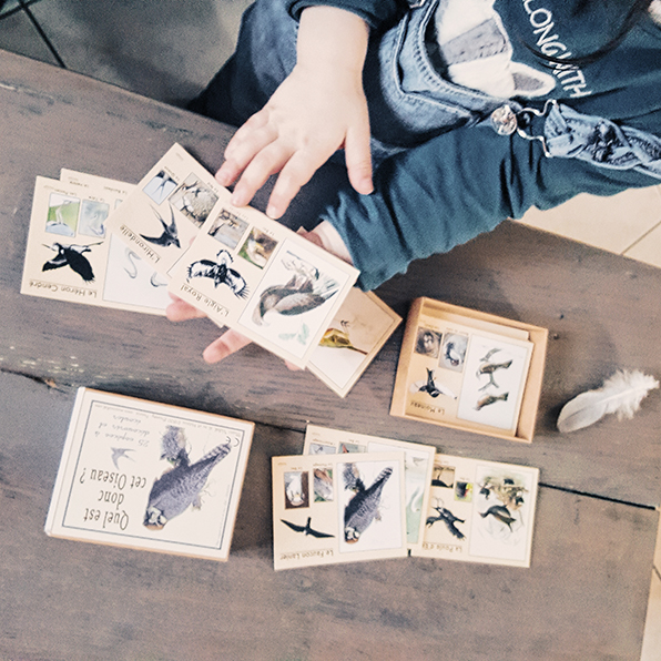 cartes pour connaitre les oiseaux
