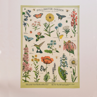 Affiche pédagogique vintage - Abeille et pollinisation