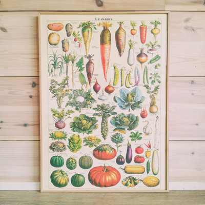 Affiche vintage 50 x 70 cm - Le jardin potager