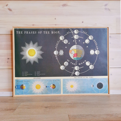 Affiche éducative vintage "les phases de la lune" - 70 x 50 cm