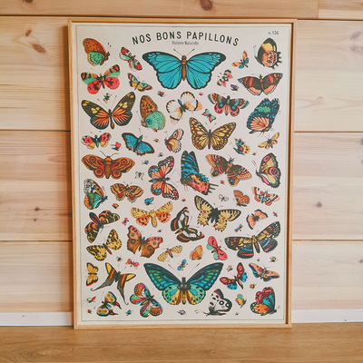 Affiche éducative vintage Nos bons papillons - 50 x 70 cm