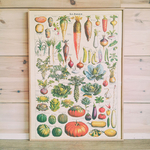 affiche jardin potager vintage et colorée légumes de saison cavallini and co