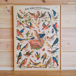 affiche vintage nos bons petits oiseaux cavallini