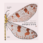 livre documentaire pour enfant la face cachée des insectes amaterra