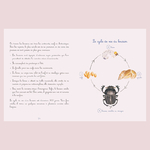 livre illustré pour enfant nature et insectes le bousier petits zécolos avignon cécile miraglio