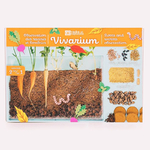 vivarium visioracine pour observer les racines des plantes radis et capucine