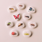 galets pédagogiques les insectes les petites graines de génie impression réaliste pour atelier nature