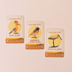 jeu de 7 famille pour apprendre à reconnaître les oiseaux les carnets de pierre