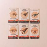 les carnets de pierre jeu de 7 famille sur les dinosaures