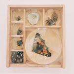 boîte loupe en bois pour observer les insectes avec les enfants animations nature