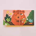 livre pour enfant 3 à 6 ans ours éveil à la nature amaterra