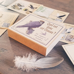 cartes marc vidal oiseaux
