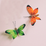 couple-de-papillons-vert-et-orange-solaires-heliobil-jura