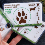 identifier-traces-animaux-foret-france-carnets-de-pierre
