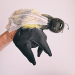 grande-marionnette-peluche-abeille-folkmanis-puppets