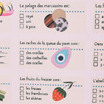 quizz-cahier-vacances-printemps-amaterra